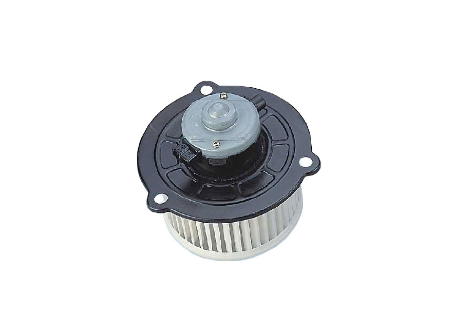 DC 12V Blower Motor: TS-205
